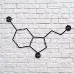 serotonin_1024x1024_c4a36be5-14d8-4e64-ab6d-7c1925f8fcd4-800×800